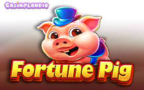 jili fortune pig demo-betjili casino Bangladesh